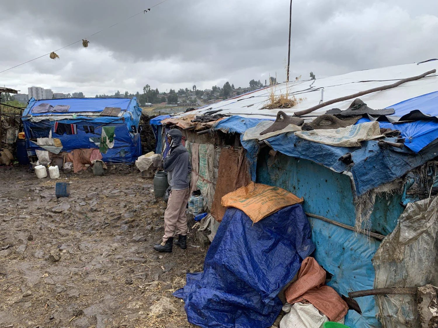 Debre Berhan liegt auf 2800 Metern über dem Meer.