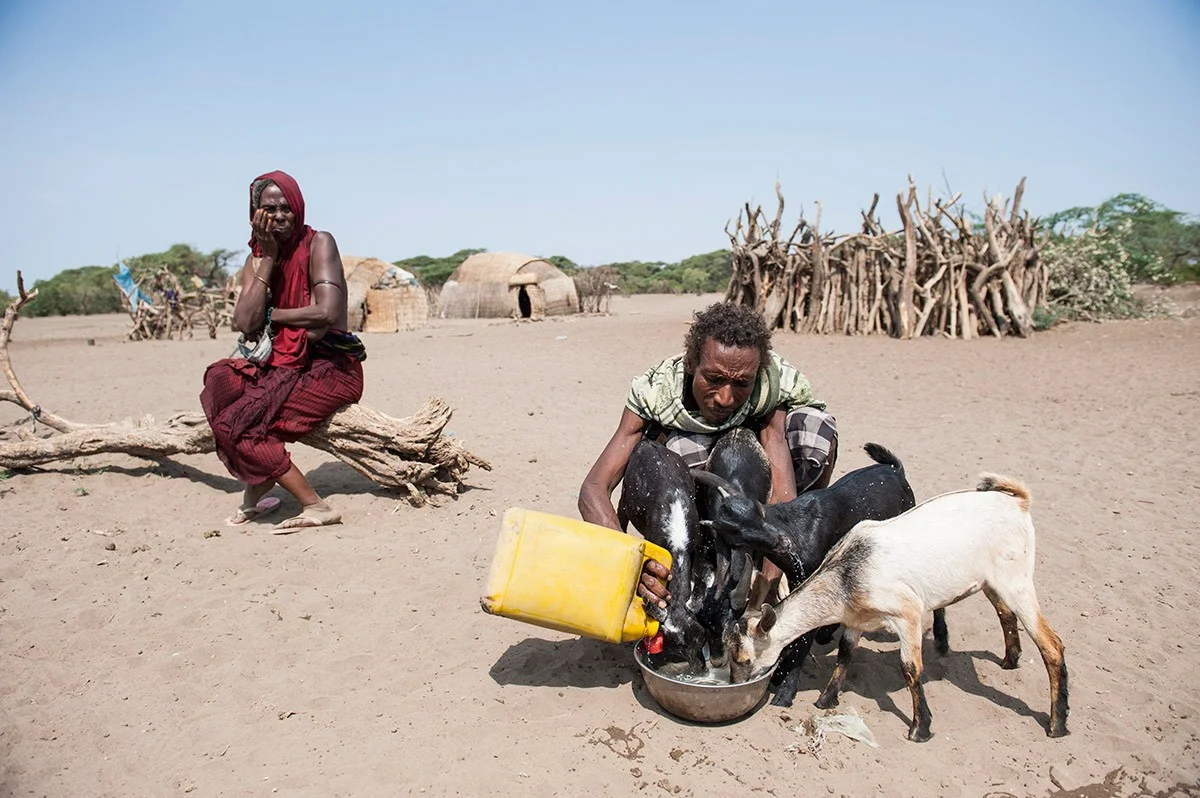 Afar-Nomade mit Ziegen in Subuli, Äthiopien | Stiftung Menschen für Menschen Afar-Nomade tränkt seine Ziegen