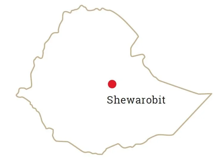 Projektkarte Shewarobit | Stiftung Menschen für Menschen Äthiopische Landkarte mit Markierung "Shewarobit"