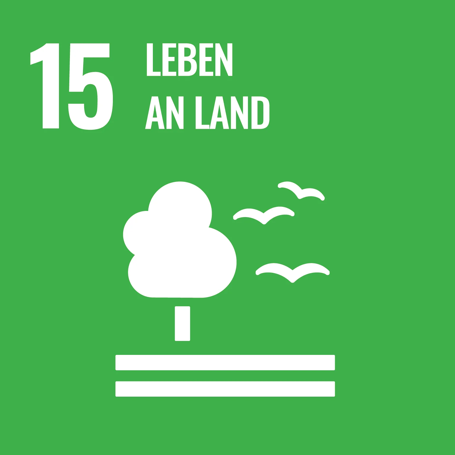 Ziele für nachhaltige Entwicklung: SDG 15 "Leben an Land" SDG 15-Icon "Leben an Land"