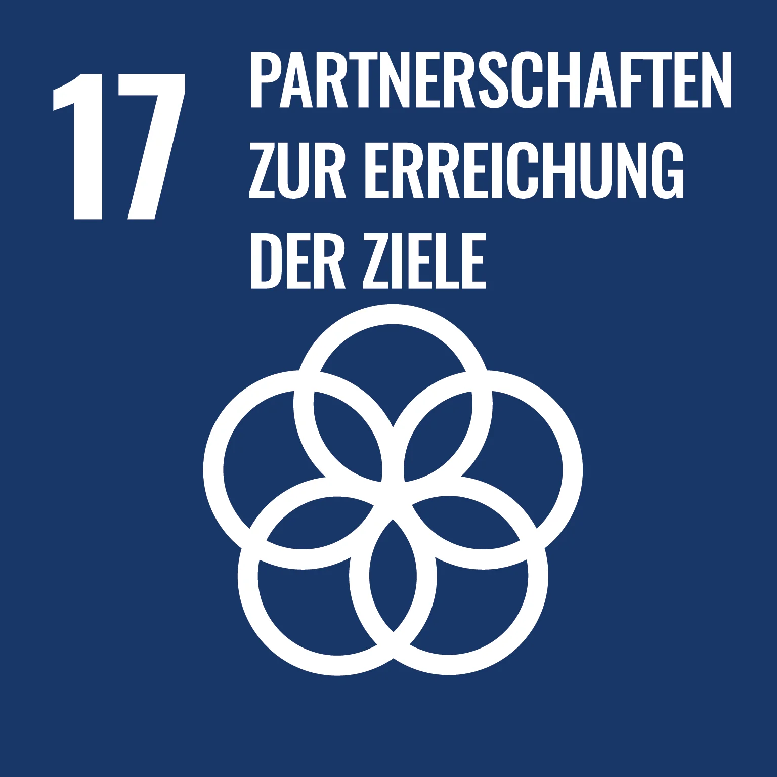 Ziele für nachhaltige Entwicklung: SDG 17 "Partnerschaften zur Erreichung der Ziele" SDG 17-Icon "Partnerschaften zur Erreichung der Ziele"
