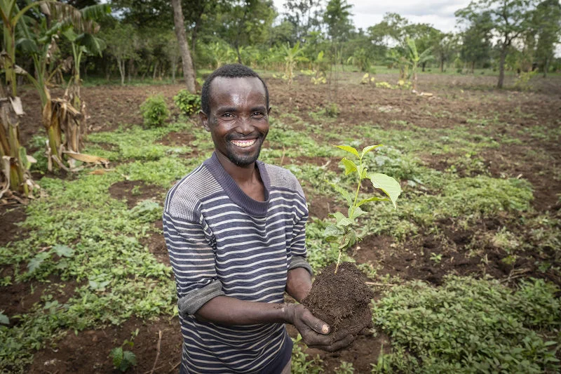 Bauer pflanzt Setzling | Stiftung Menschen für Menschen