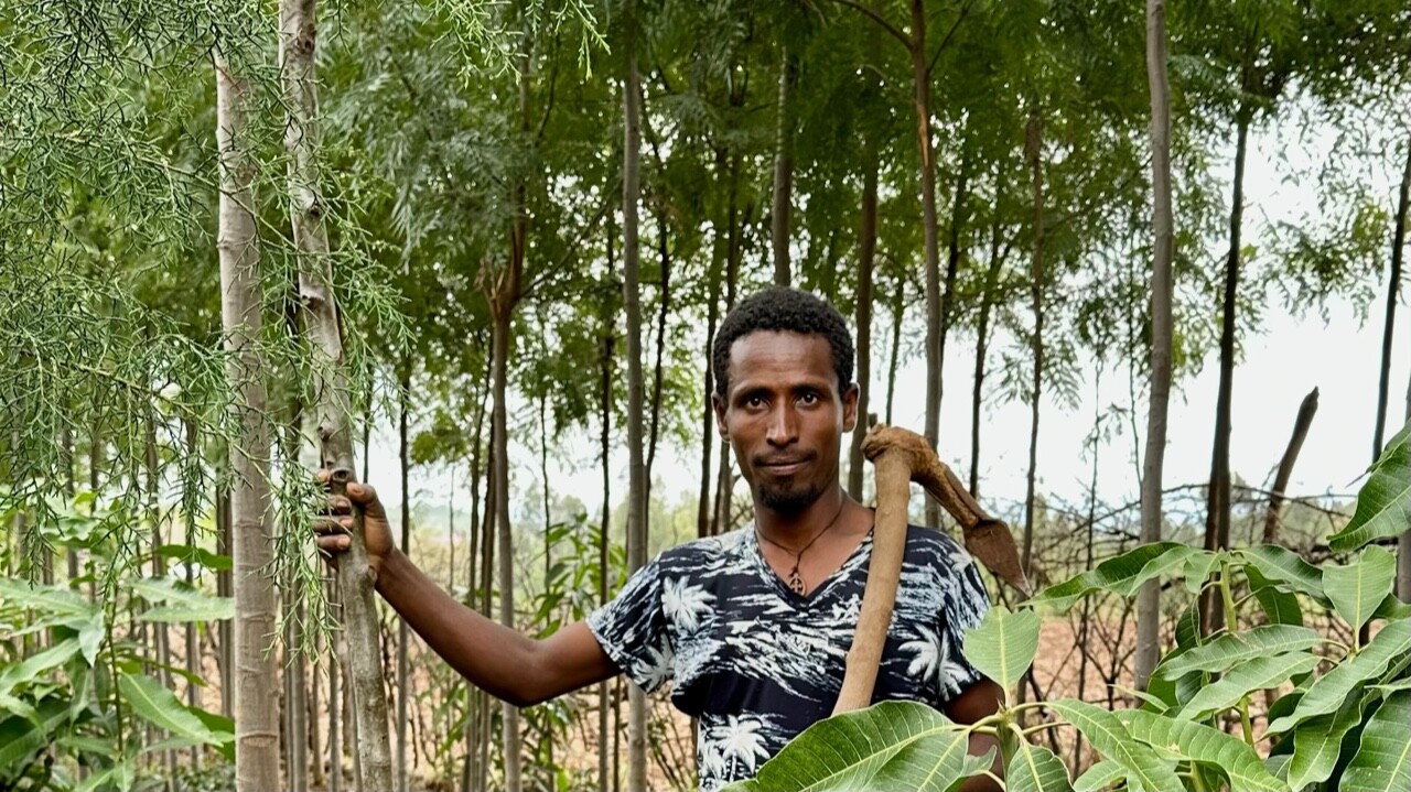 Abeje Mullie in seinem Agroforestry-Feld in Fogera, Äthiopien, Close up
