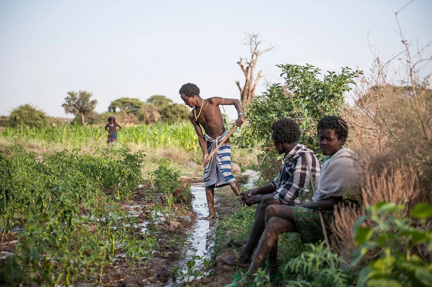 Bauer leitet Bewässerungskanal in Subuli, Äthiopien | Stiftung Menschen für Menschen Bauer leitet Bewässerungskanal in Subuli