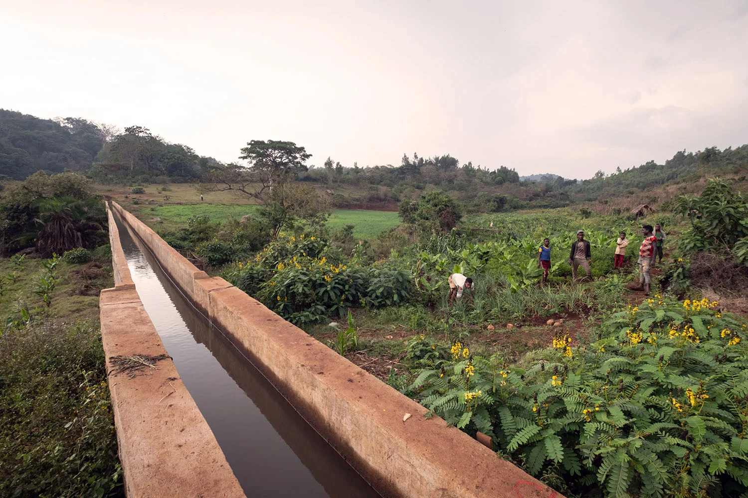 Bewässerungskanal in Seka | Stiftung Menschen für Menschen Sicht auf den Bewässerungskanal in Seka