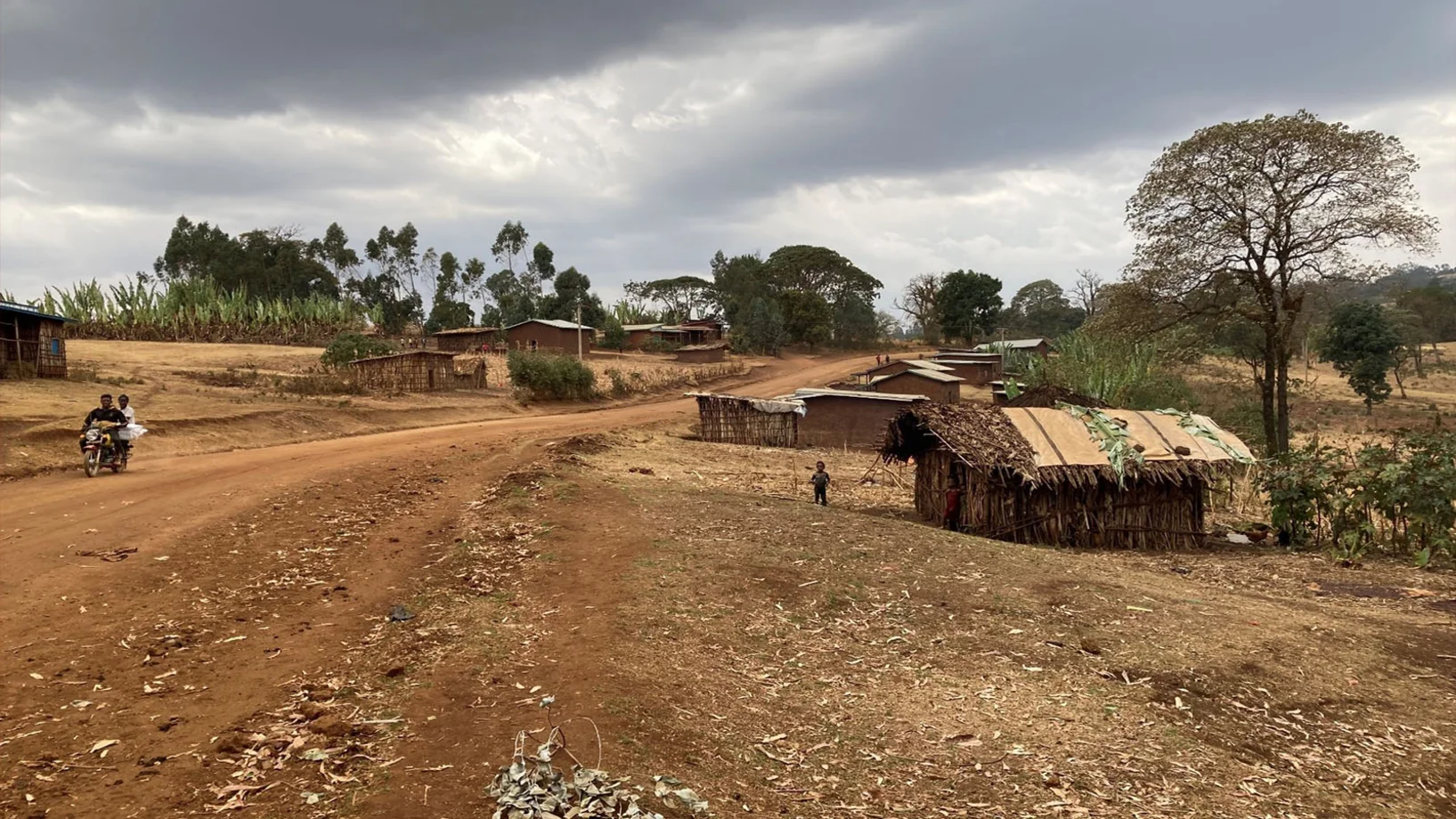Landstrasse in Hambela Wamena | Stiftung Menschen für Menschen Landstrasse in Hambela Wamena