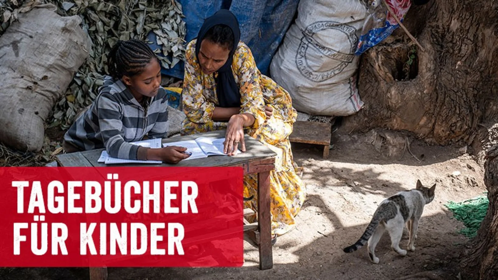 YouTube-Teaser "Tagebücher für Kinder" | Stiftung Menschen für Menschen Sozialarbeiterin hilft Mädchen bei den Hausaufgaben mit Teaser-Balken: Tagebücher für Kinder