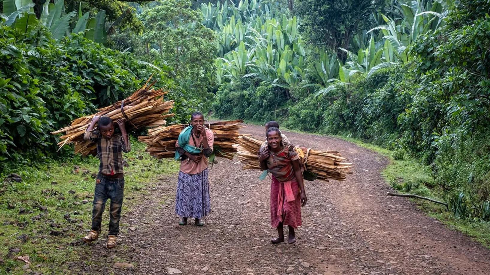 Holzträgerinnen in Raphe | Stiftung Menschen für Menschen Drei Frauen tragen Holzbündel auf ihrem Rücken