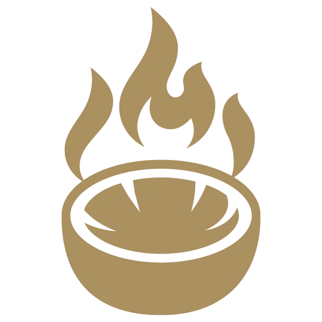 MfM-Icon Greenstoves | Stiftung Menschen für Menschen Icon: holzsparender Ofen